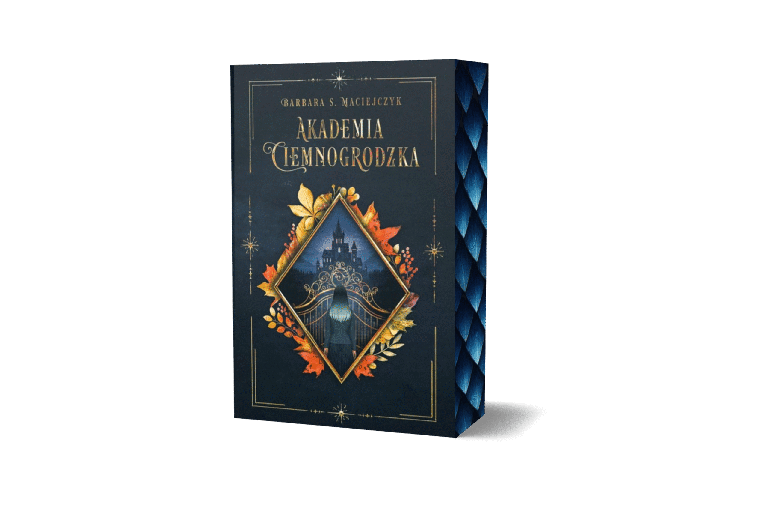 Akademia Ciemnogrodzka - Barbara S. Maciejczyk (ebook)