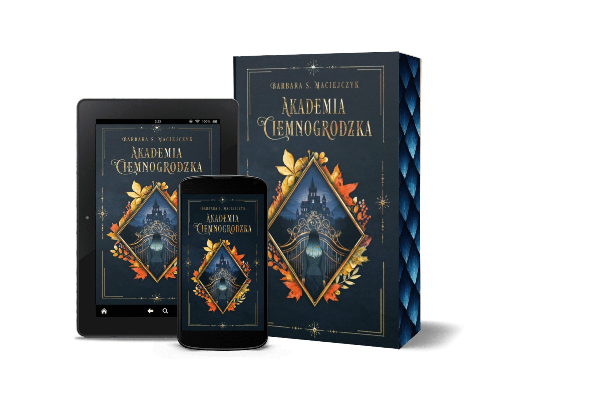 Akademia Ciemnogrodzka - Barbara S. Maciejczyk (ebook) - obrazek 2